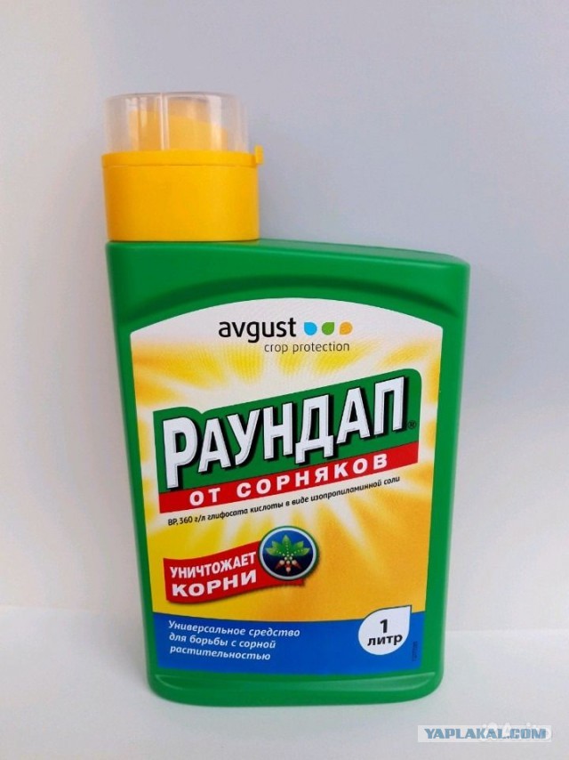 Нужен совет! Соседи, дача...