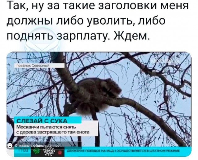 Забавные картинки, шутки из этих ваших интернетов