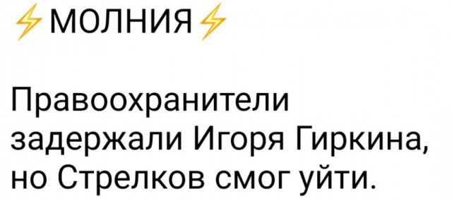 Силовики задержали Игоря Стрелкова