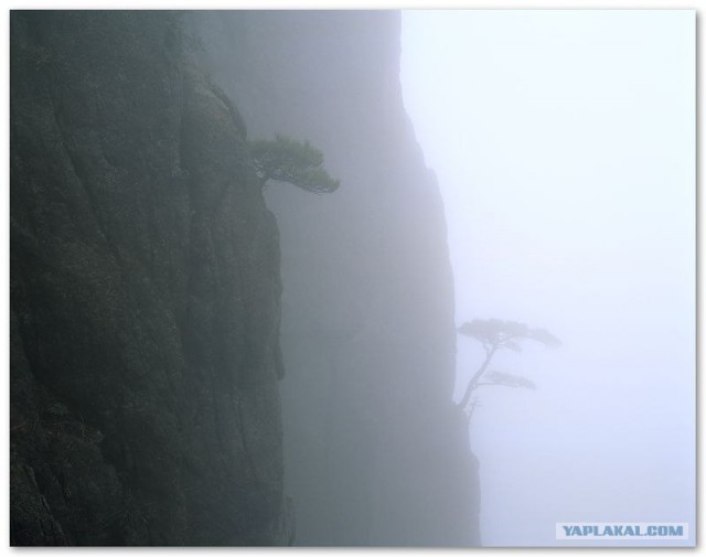 Фотограф Leping Zha