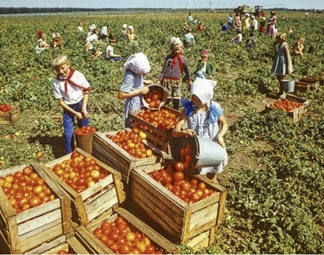 Опять про СССР 26.08.23