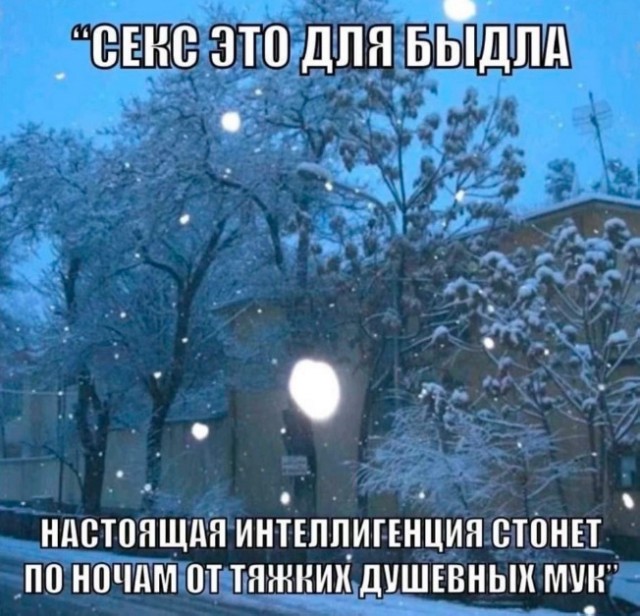 Приколы с налетом деградации