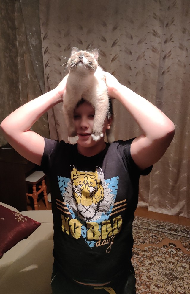 Шапка из норки