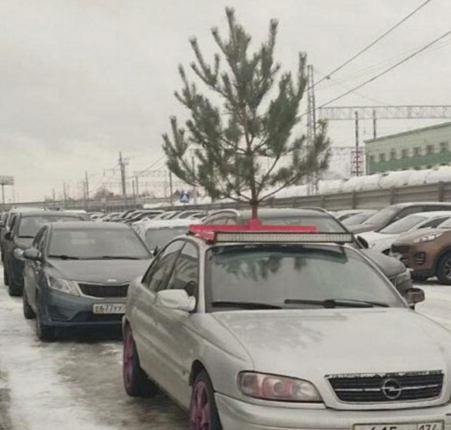Украшаем всё и вся в последние дни декабря