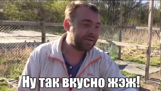 Сколько животных человечество съедает за год