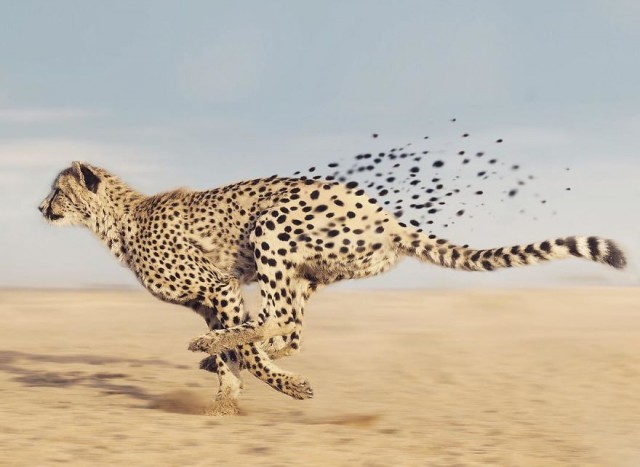 Литературный конкурс "Драма"