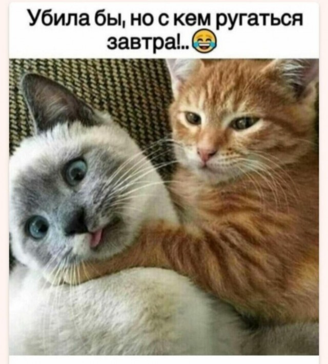 Всего понемногу. От 24.06.2024