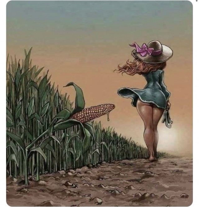 ФотоВинегрет