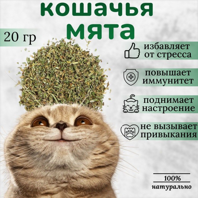 Быстрое деградирование