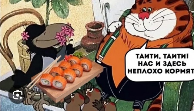 Я не толстый!