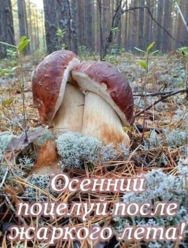 АРТ-Воскресенье