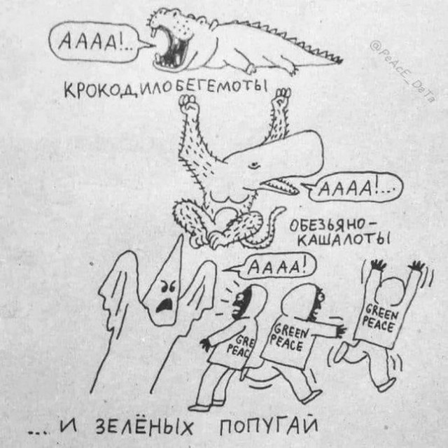 Нуштош 30.09.2024