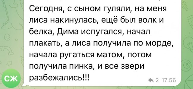 Погладил