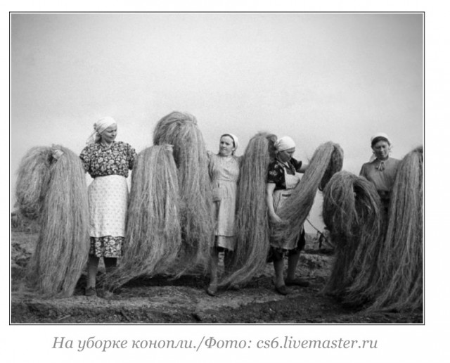 Интересные и редкие ретро-фотографии 05.11.24