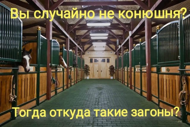 Юмор цвета "Вишнёвый тупняк"