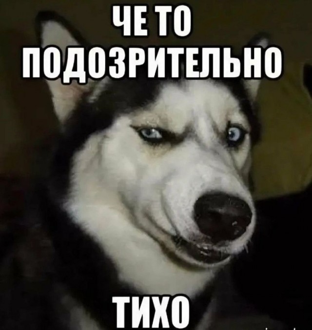 Так себе картинки 28.12.24
