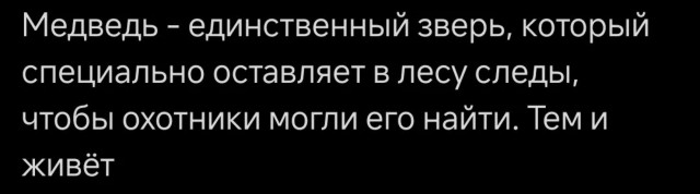 Так себе картинки 06.02.25