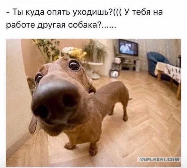 Дратути