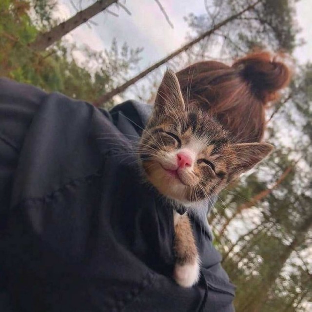 Картинки разные с надписями и без