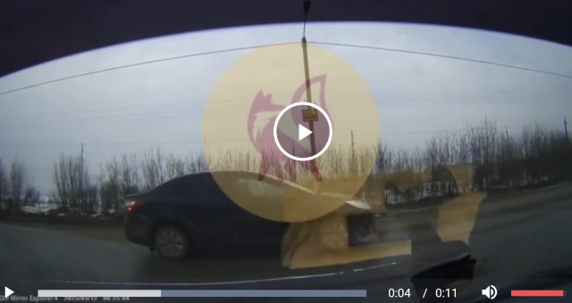 Выехала на главную