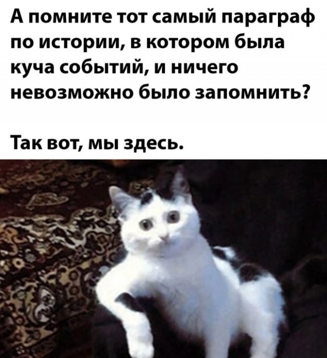 Веселые картинки в маленькую пятницу (02.04)
