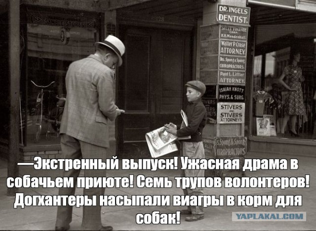Депутат назвал зоозащитников зарубежным проектом по «уничтожению россиян»
