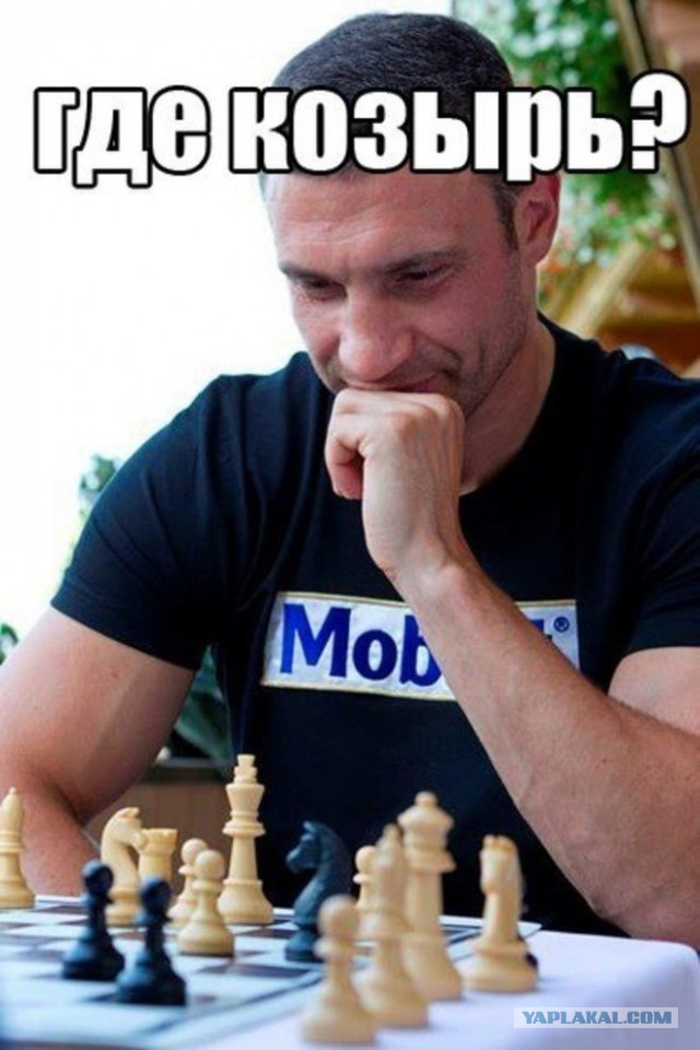 Проект "Голые стены"