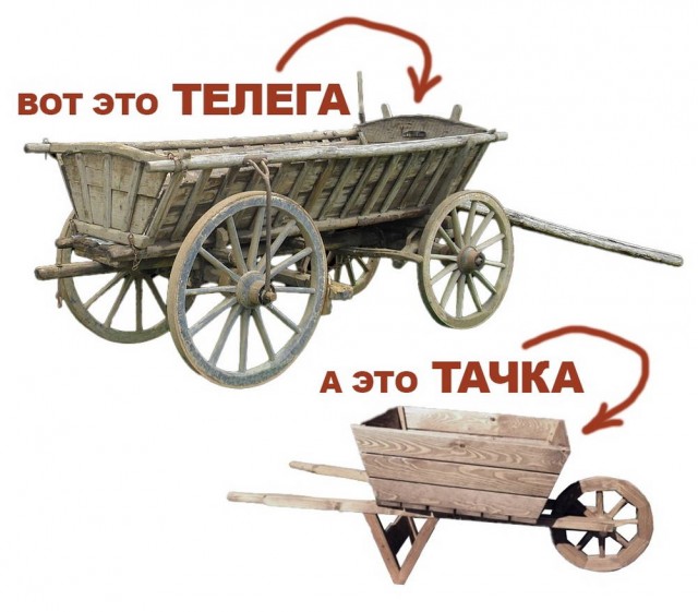 Веселые картинки в маленькую среду (30.07)