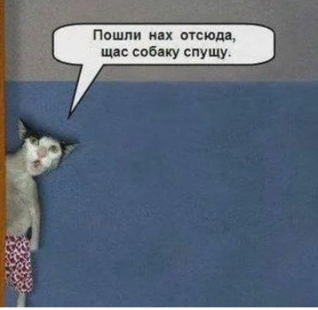 Кто сколько зарабатывает и в какой сфере?!