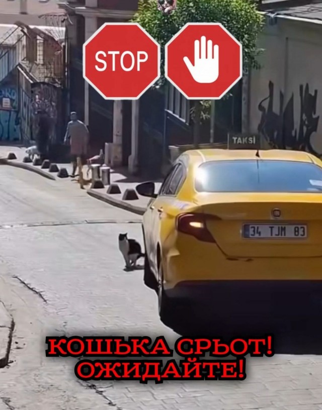 Маленькая пятница 20.08.25