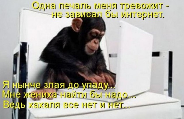 Забавные и не очень скромные картинки - 10