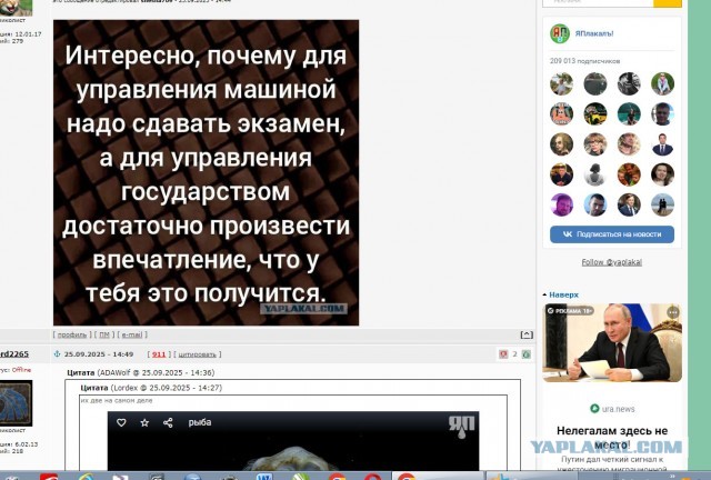 Картинки для деградации 51 (разной степени свежести)