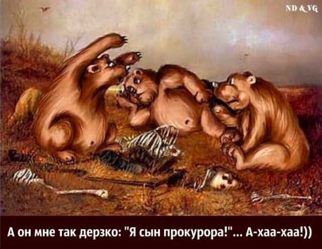 Так себе картинки 29.09.25