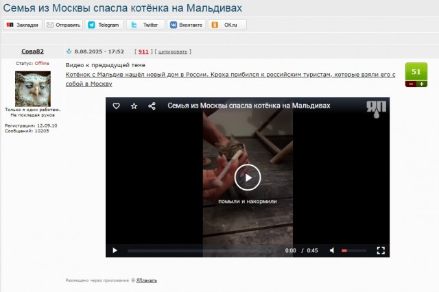 Няня ошпарила кипятком ребёнка и покалечила кота, пока родителей не было дома