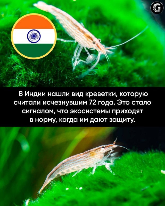 Хорошие новости,  про которые почти никто не говорит
