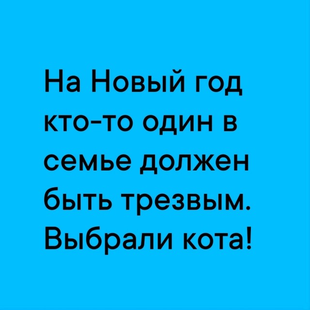 Так себе картинки 21.12.25