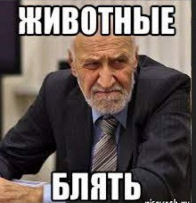Приехал