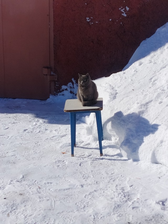Беспредел