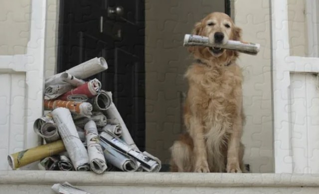 ГОСТы бывают новыми