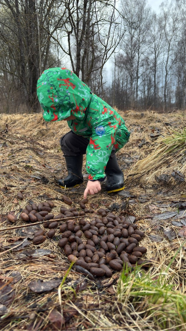 У нас сегодня охоту открыли