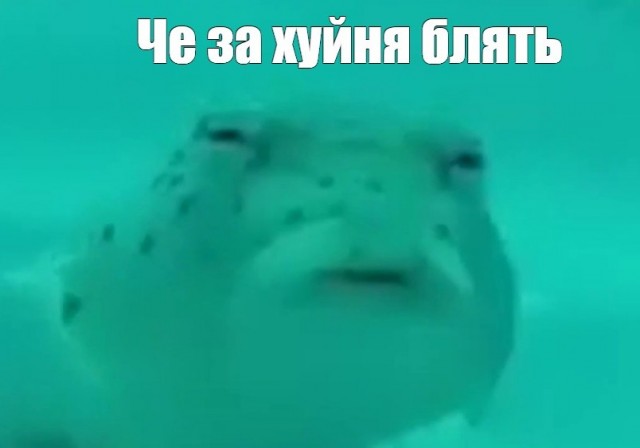 Может в кино сходим?