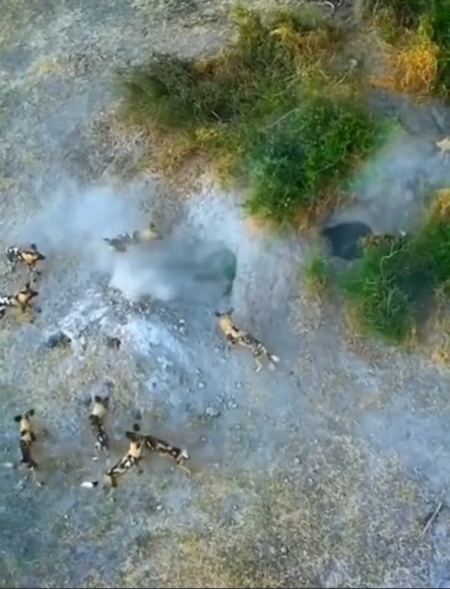 Когда живёшь в неблагоприятном районе и вышел за водичкой