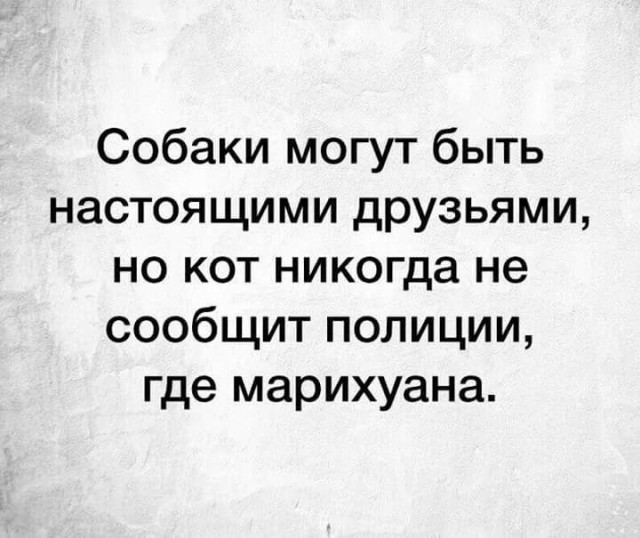 Так себе картинки 22.08.26