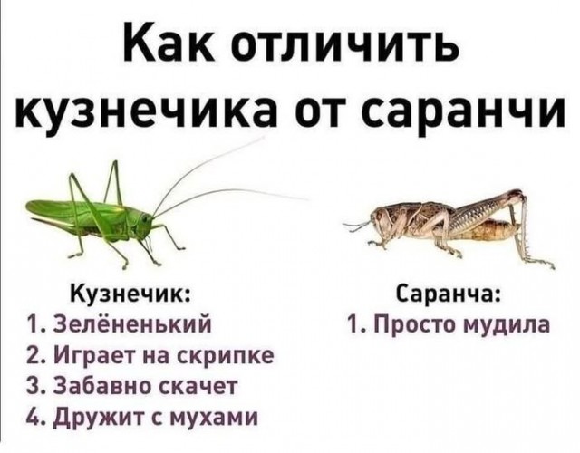 Картинки на субботу
