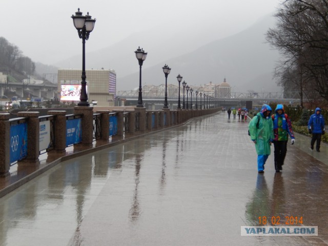 Два дня на Олимпиаде