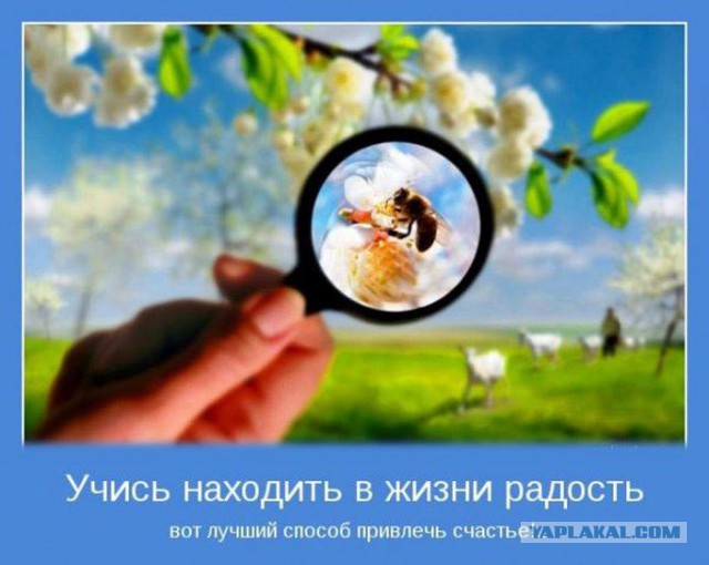 Чёрт, чёрт, чёрт!