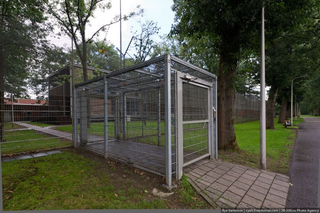 Нидерландская тюрьма