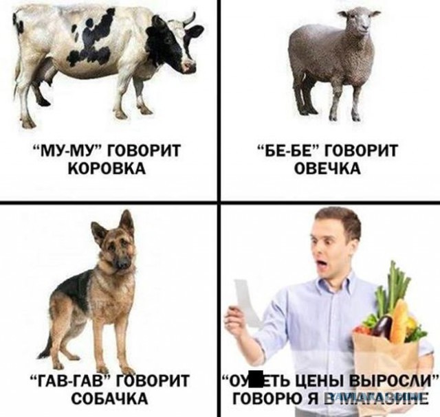 Свежая подборка из тырнетов