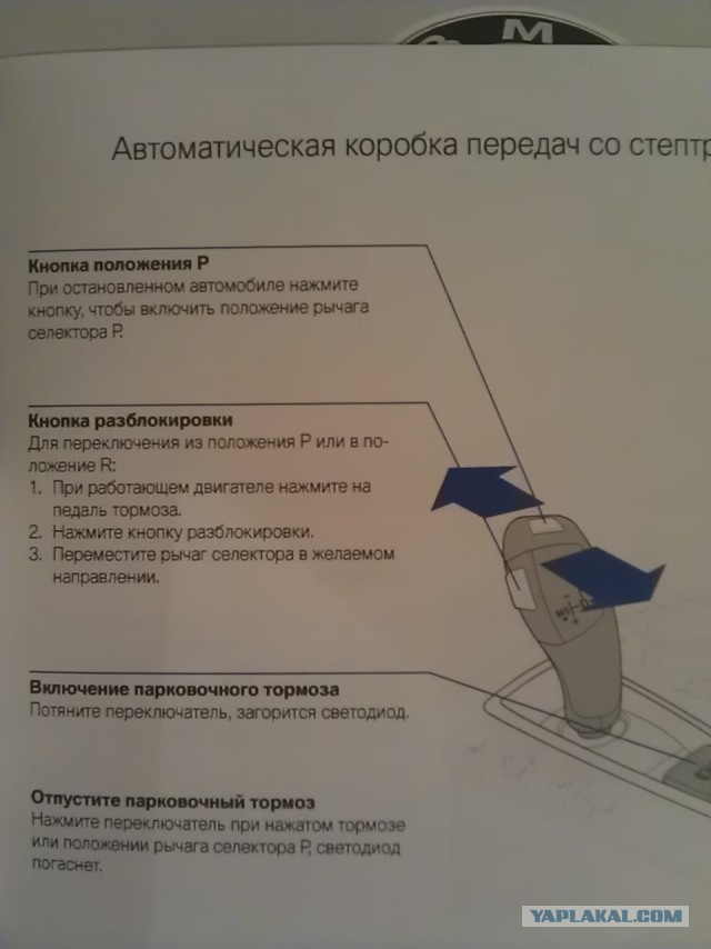 Хотел побыковать - получил по заслугам