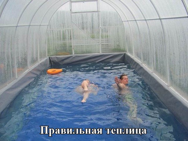Веселые картинки